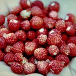 Šumske jagode – kako se pravi slatko od šumskih jagoda recept