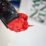 Karolina riper – najljuća paprika na svetu – uzgoj seme cena